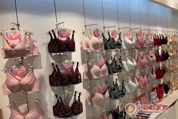 仙宜岱文胸加盟